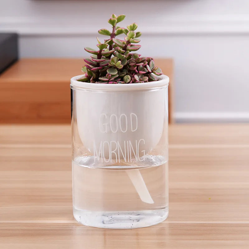 Cache pot verre orchidée